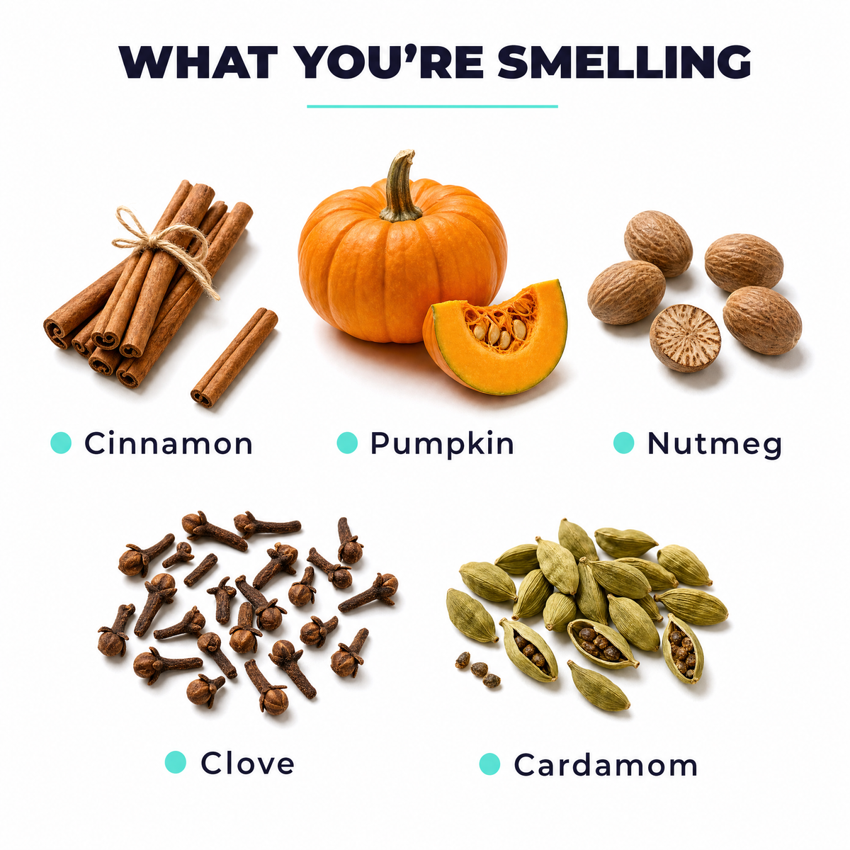 FALL Y'ALL SOAP